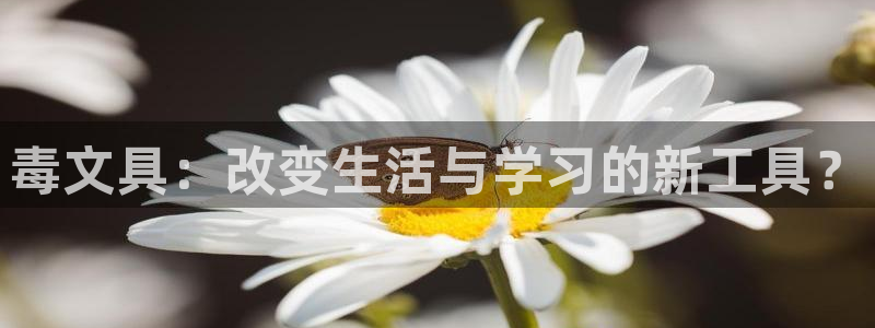 九游会感受：毒文具：改变生活与学习的新工
