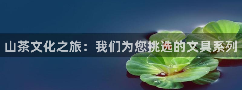 九游会现场：山茶文化之旅：我们为您挑选的