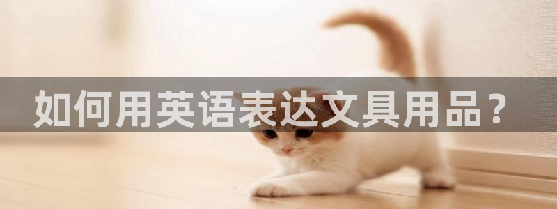 AG娱乐九游会j9：如何用英语表达文具用