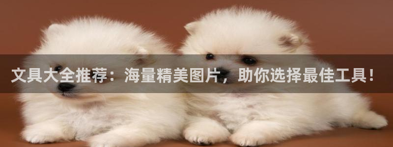 九游会娱乐ag：文具大全推荐：海量精美图