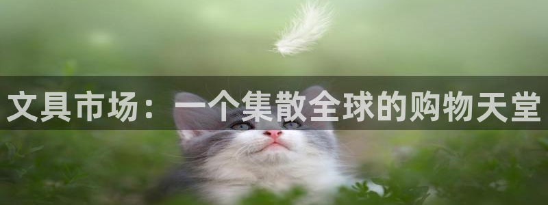 九游会登陆：文具市场：一个集散全球的购物