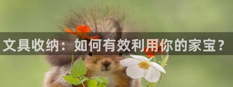 九游会vip入口