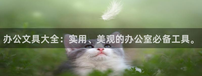 九游会新版平台：办公文具大全：实用、美观
