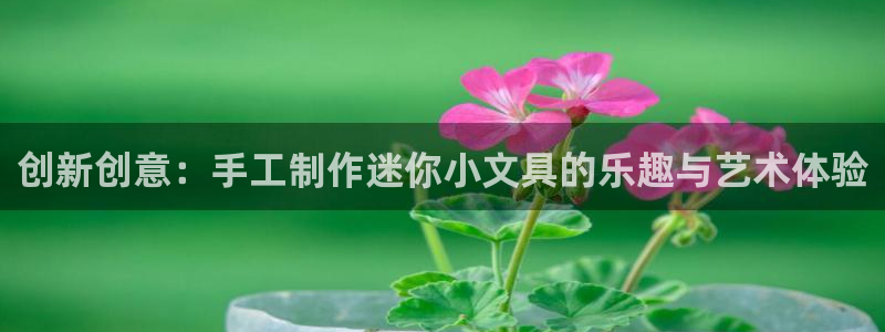 北京冬奥会九游：创新创意：手工制作迷你小