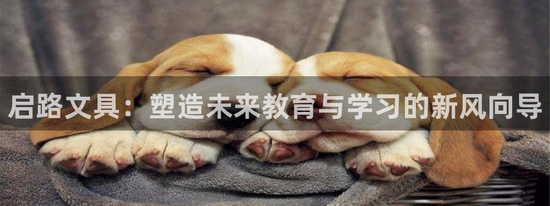九游游戏股票会退市吗吗：启路文具：塑造未