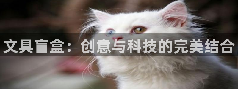 登录 九游会：文具盲盒：创意与科技的完美
