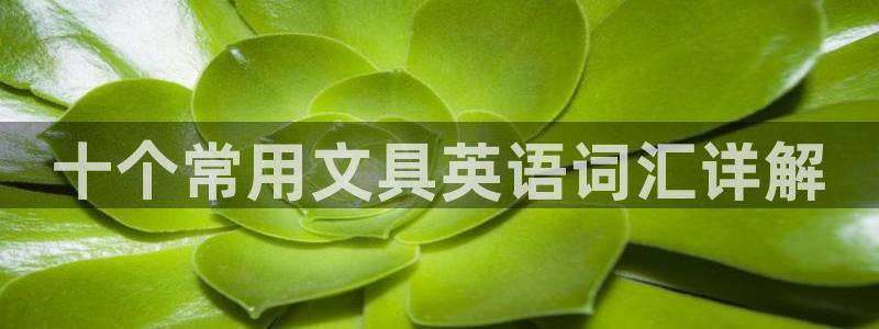 九游会j9客服：十个常用文具英语词汇详解