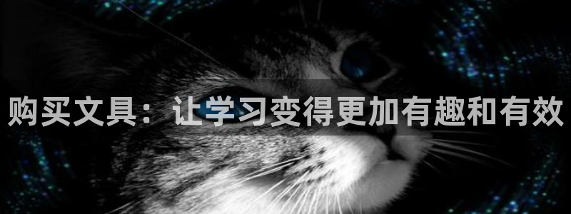 九游会官网入口在哪：购买文具：让学习变得