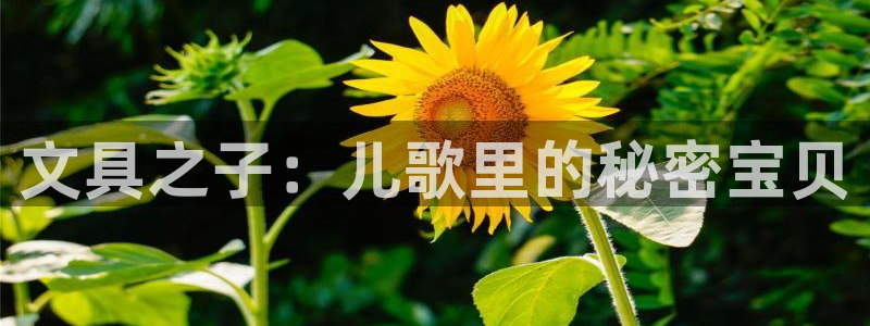 九游会官网真人游戏