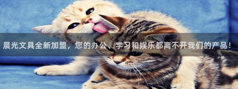 九游会登录 - Index：晨光文具全新