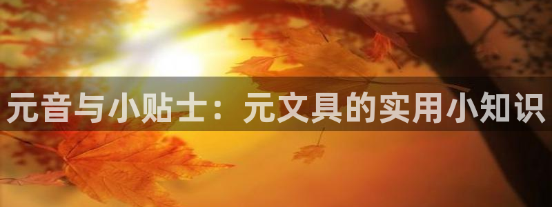 菲律宾九游会：元音与小贴士：元文具的实用