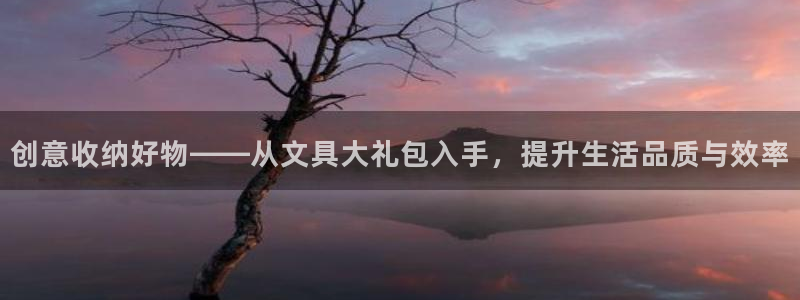 九游会ag官方网站：创意收纳好物——从文