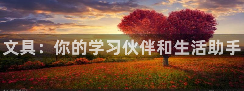 九游九游会官网：文具：你的学习伙伴和生活