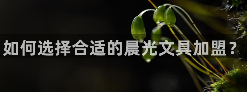 九游会体彩：如何选择合适的晨光文具加盟？