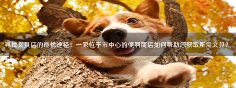 九游会能不能信：寻找文具店的最优途径：一