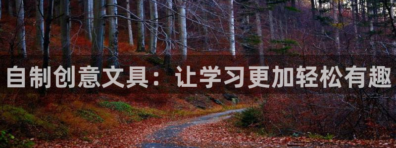 九游会j9提现快吗：自制创意文具：让学习