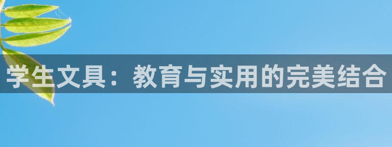 j9.com九游会官网：学生文具：教育与
