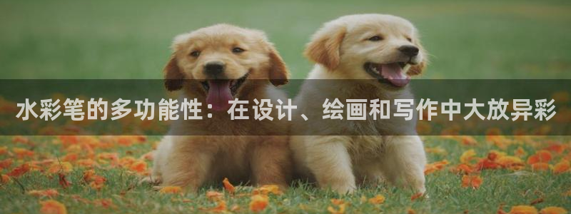 九游会电子：水彩笔的多功能性：在设计、绘