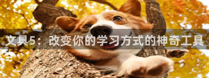 九游会 官网：文具5：改变你的学习方式的