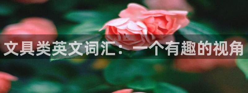 九游会官网注册会员：文具类英文词汇：一个