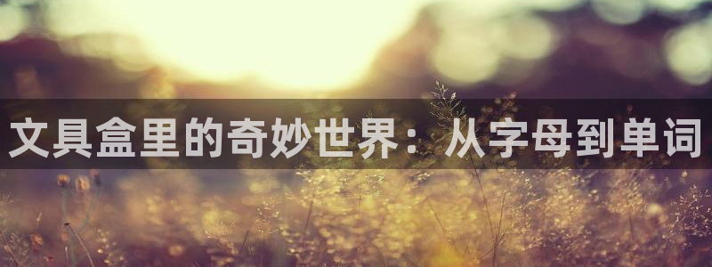 9九游会网站：文具盒里的奇妙世界：从字母