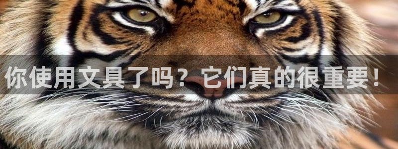九游会官方正版下载安装：你使用文具了吗？