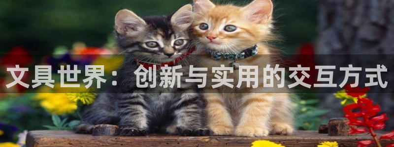 珠海九游会：文具世界：创新与实用的交互方