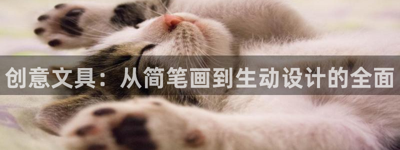 ag代理九游会：创意文具：从简笔画到生动