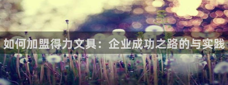 九游会链接：如何加盟得力文具：企业成功之