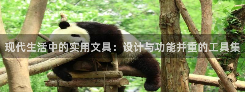 九游会删号：现代生活中的实用文具：设计与