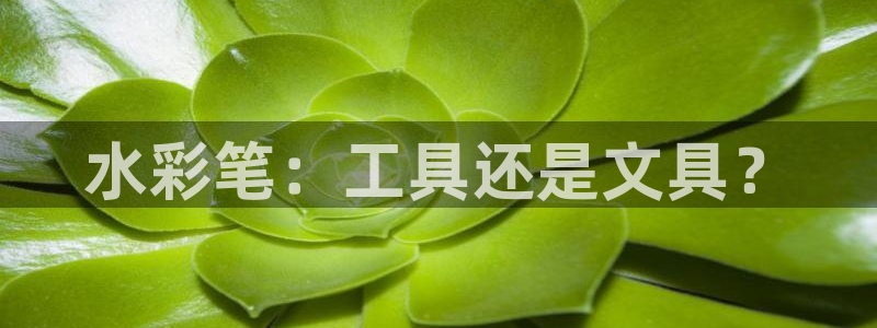 北京冬奥会九游：水彩笔：工具还是文具？