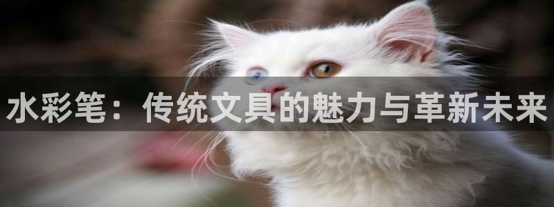 九游会登陆亚洲：水彩笔：传统文具的魅力与