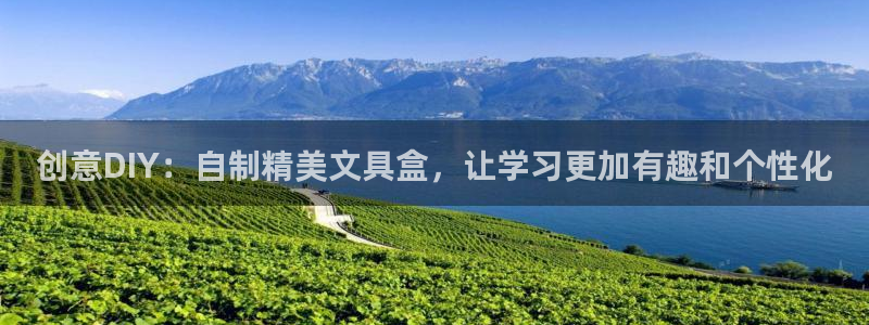 九游会官网网页版入口：创意DIY：自制精