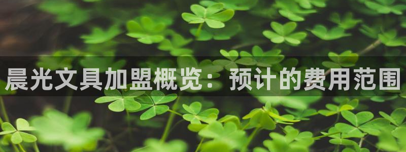 九游会手机端：晨光文具加盟概览：预计的费