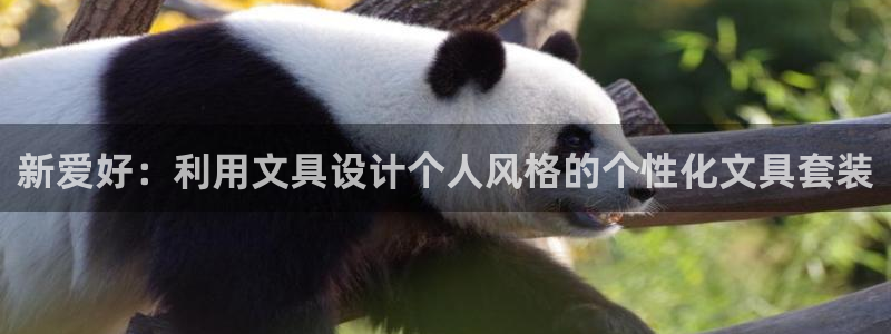 九游会亚游：新爱好：利用文具设计个人风格