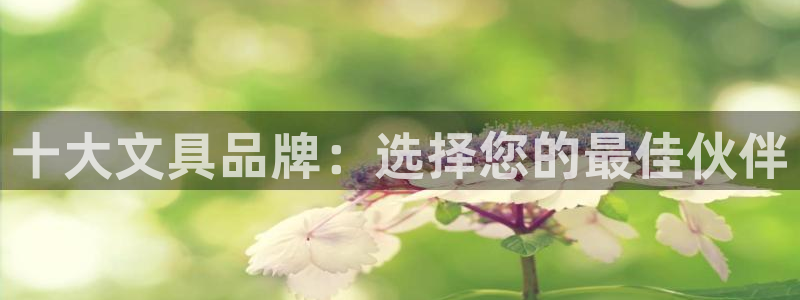 ag九游会：十大文具品牌：选择您的最佳伙