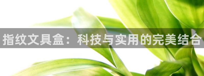 九游会人口：指纹文具盒：科技与实用的完美