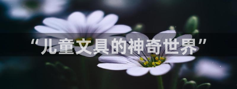 九游会注册网页：“儿童文具的神奇世界”