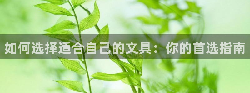 九游会 a g：如何选择适合自己的文具：