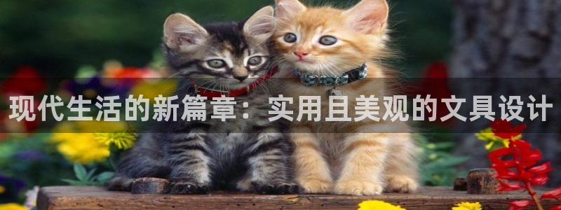 九游会平台注册：现代生活的新篇章：实用且