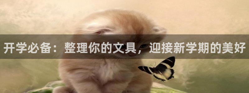 九游会体育比分：开学必备：整理你的文具，