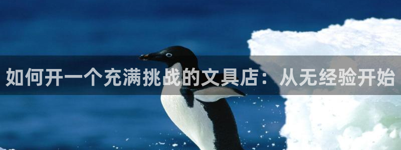 九游会和尊龙：如何开一个充满挑战的文具店