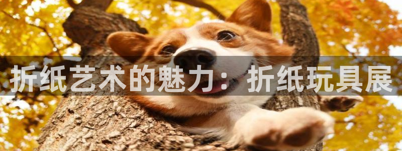 九游会j9是什么意思